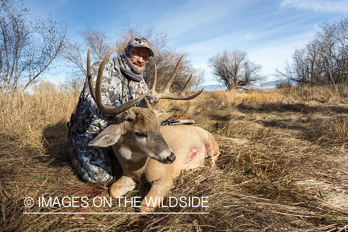 Bow hunter with downed white-tailed deer.