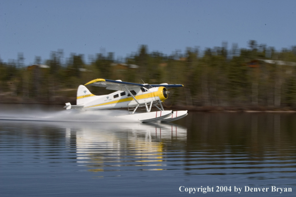 Float plane landing on the lake.  Saskatchewan.