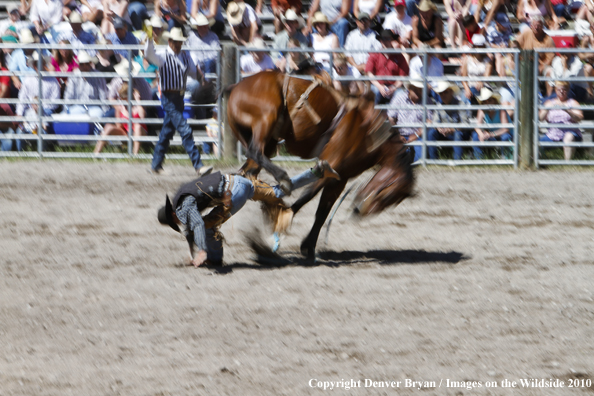 Augusta Rodeo