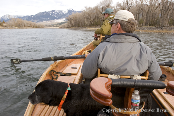 Flyfishermen and black Labrador Retriever in driftboat on Yellowstone River, Montana.