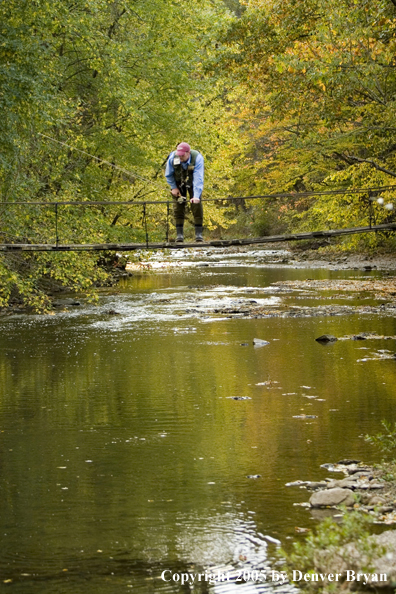 Flyfisherman looking at water from footbridge over creek.