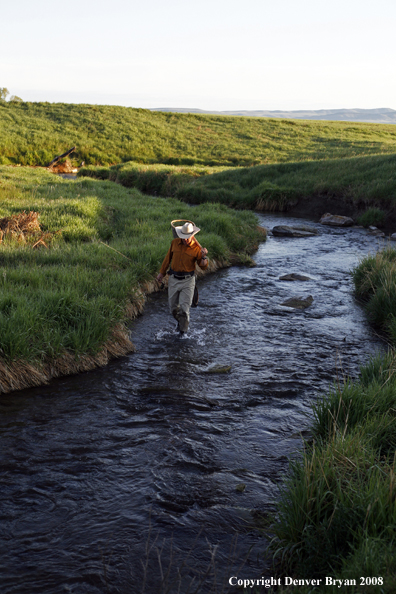 Flyfisherman fishing warm springs