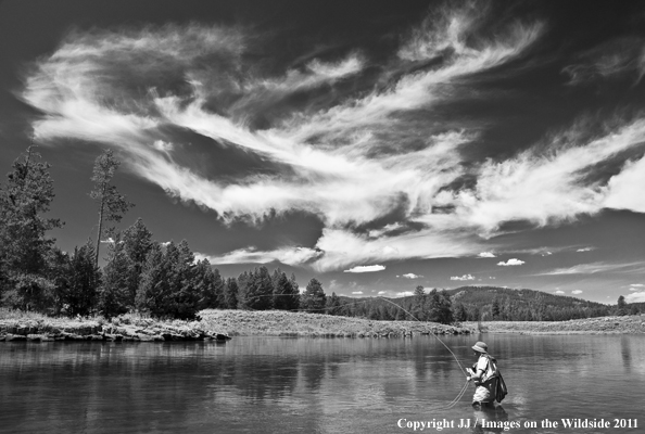 Flyfishing on Henry's Fork, Idaho. 