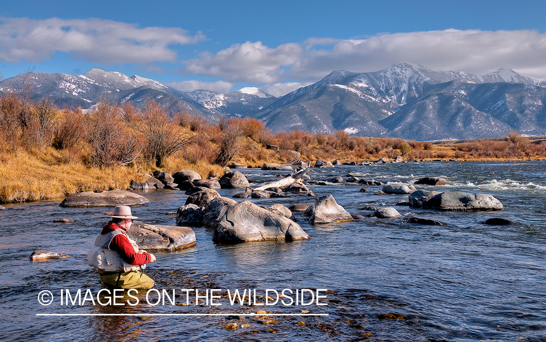 Flyfisherman fishing in middle of river.