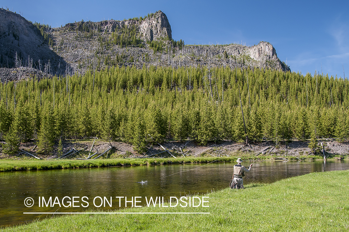 Flyfisherman on the Madison River, Montana.