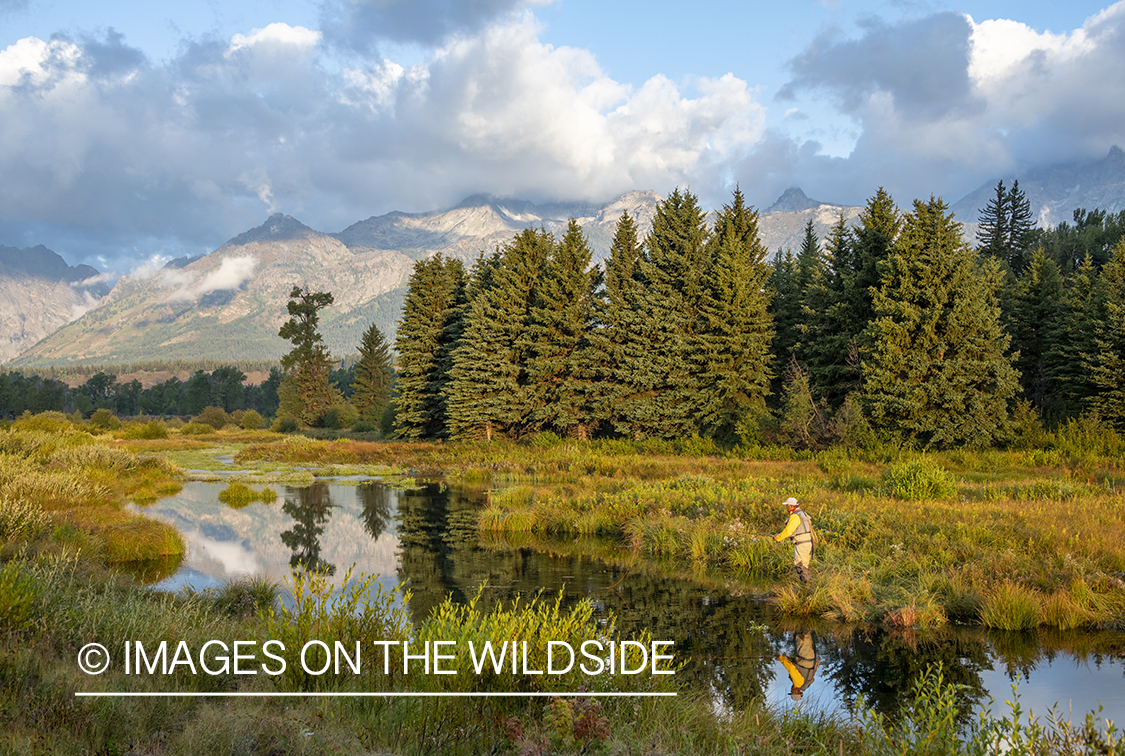 Flyfishing Blacktail Ponds, Wyoming.