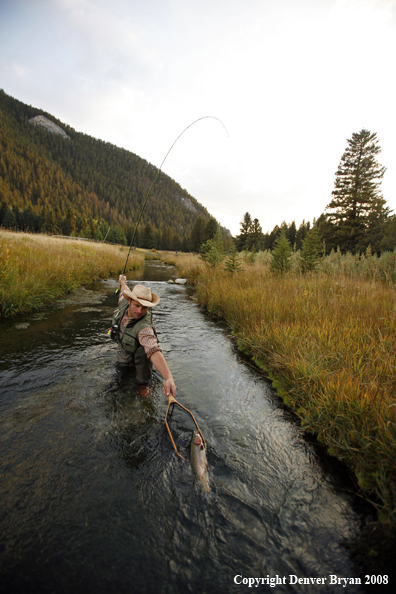 Flyfisherman Landing Rainbow Trout