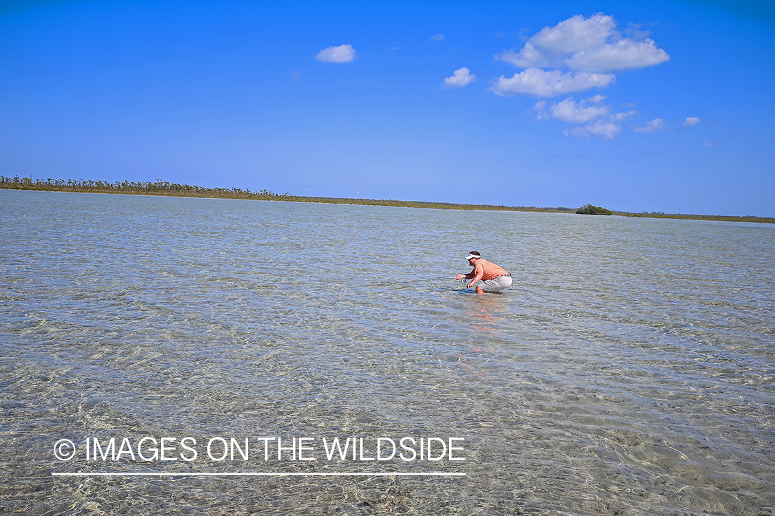 Flyfisherman fighting bonefish.