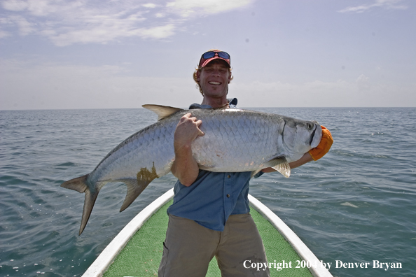 Flyfisherman w/tarpon 