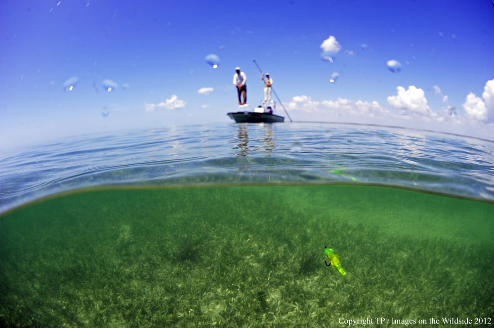 Flyfishing for Tarpon. 