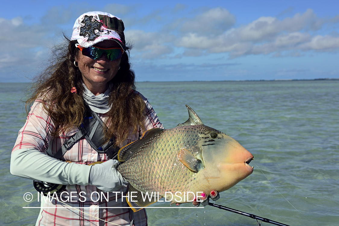 Woman with Peachy Triggerfish.