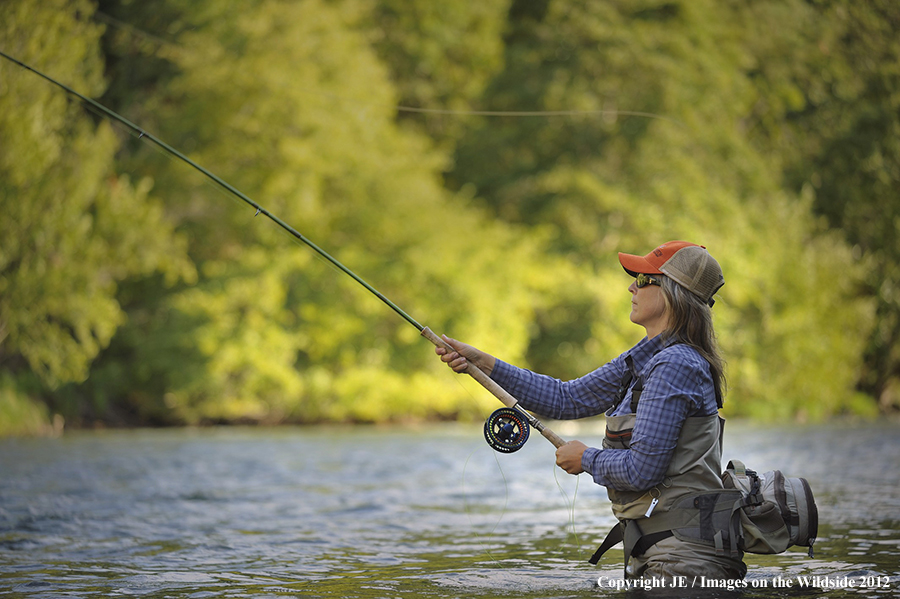 Flyfisher on river.