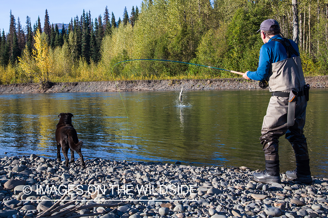 Flyfishing for steelhead on Nass River, British Columbia.