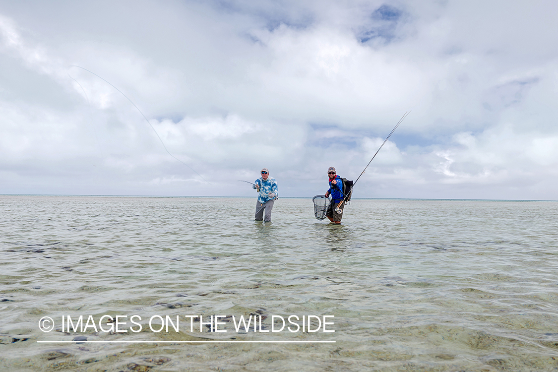 Flyfisherman on St. Brandon's Atoll flats, Indian Ocean.