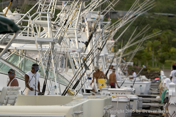 Deep sea fishing charter boats in marina.