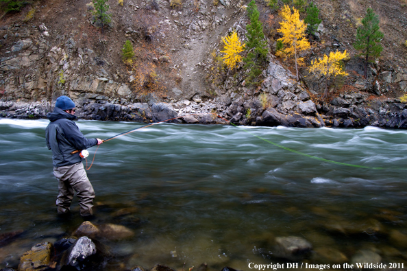 Flyfisherman with spey rod. 