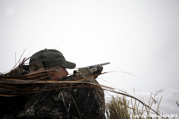 Waterfowl hunter aiming gun.