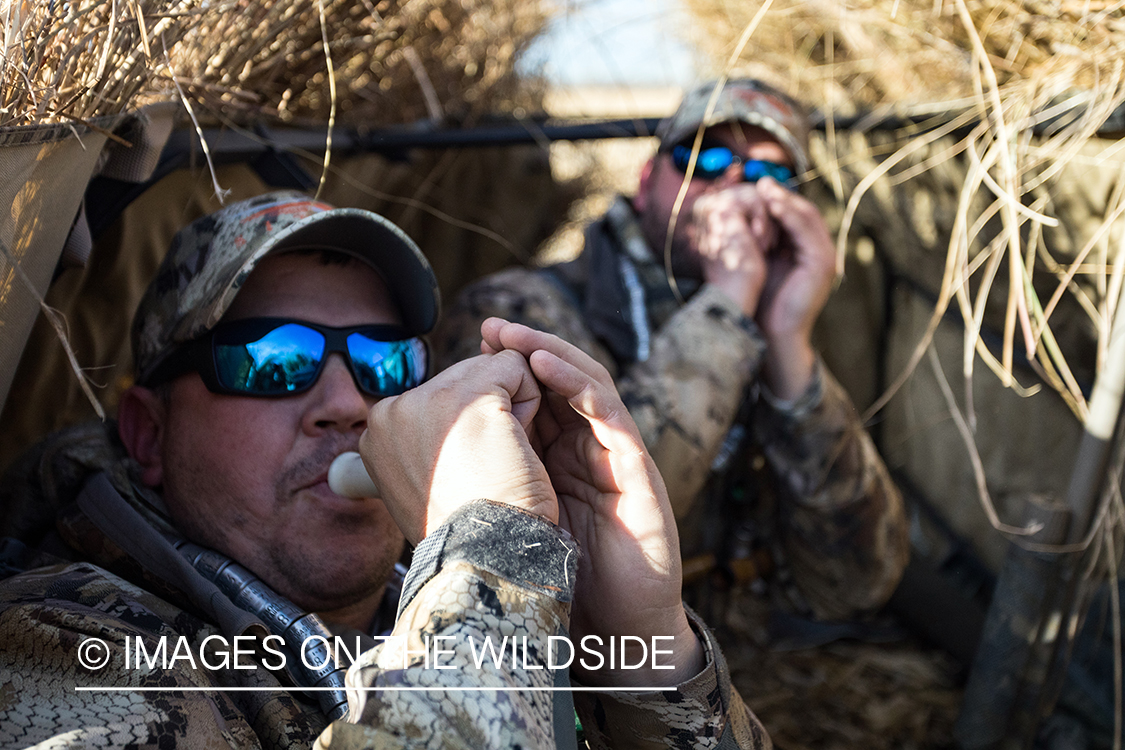 Waterfowl hunting