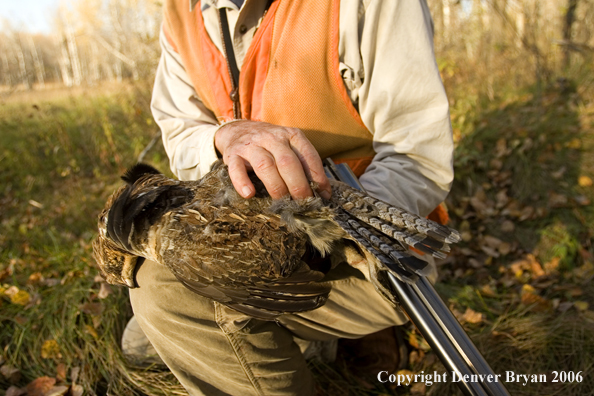 Upland bird hunter with bagged grouse