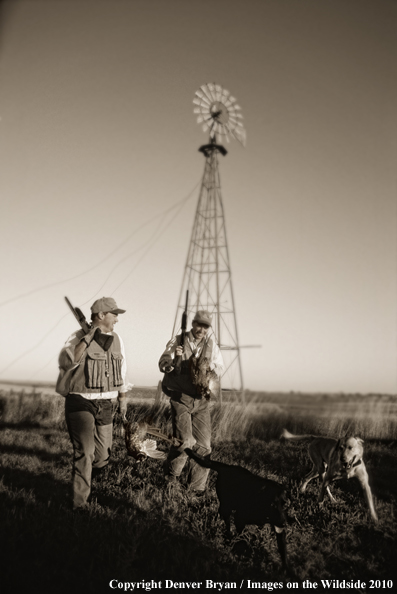 Upland bird hunters with dogs and game. (Original image #11006-04410)