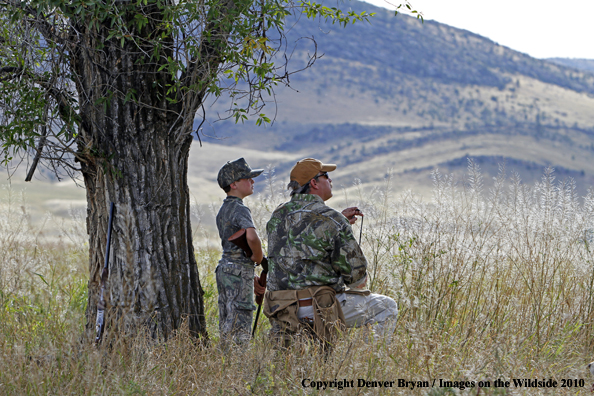 Father and Son Dove Hunting