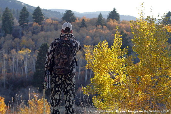 Bow hunter scouting for big game.  