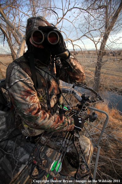 Bowhunter scouting from tree stand. 