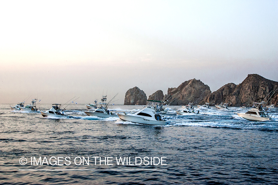 Deep sea fishing boats heading out to sea.