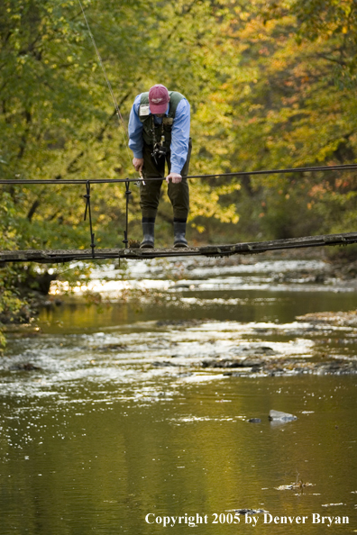 Flyfisherman looking at water from footbridge.