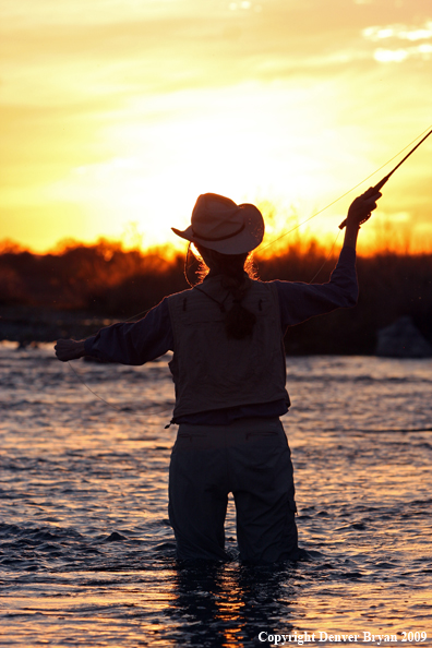 Woman flyfishing