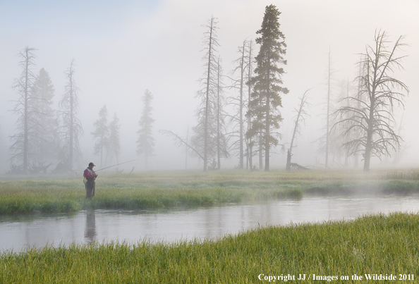 Flyfishing on Iron Creek, Yellowstone National Park. 