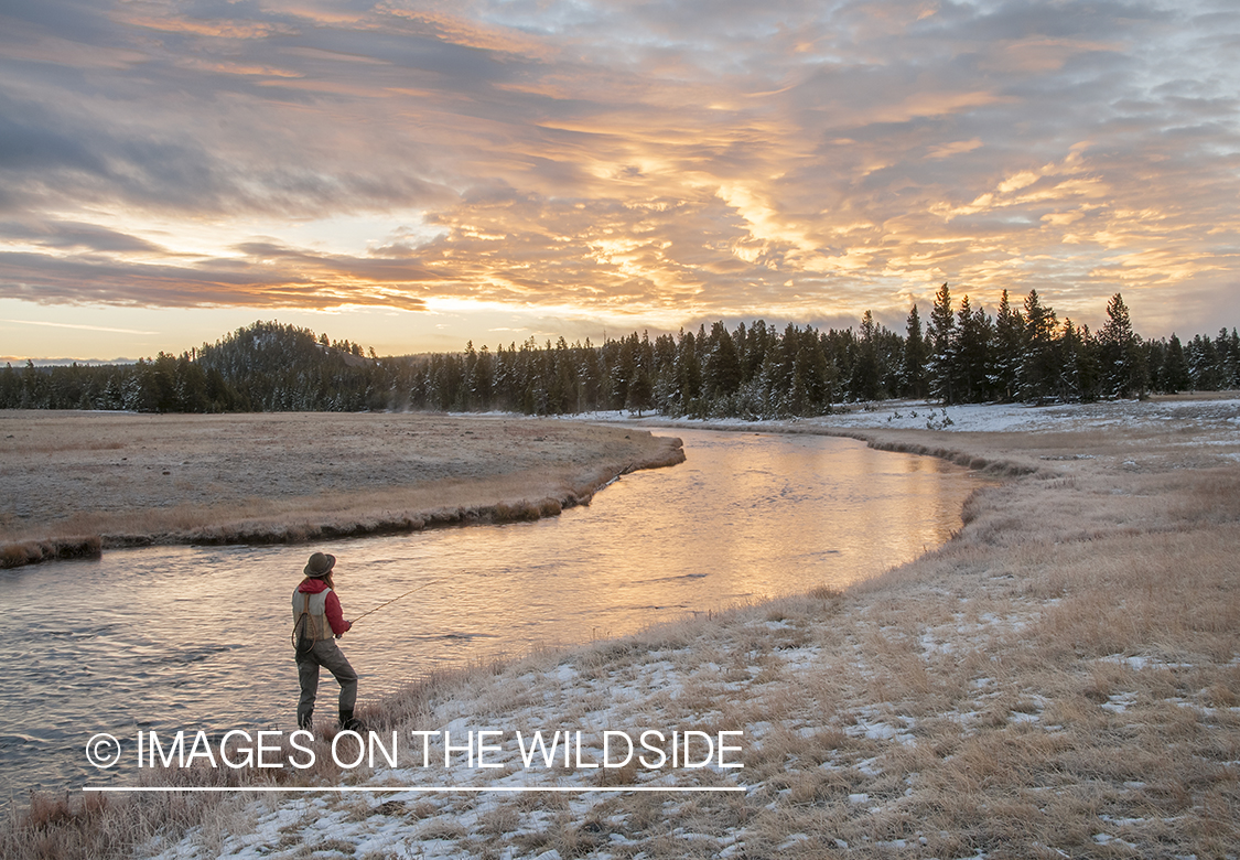 Flyfishing woman on Nez Perce Creek at sunrise. 