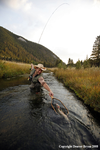 Flyfisherman Landing Rainbow Trout