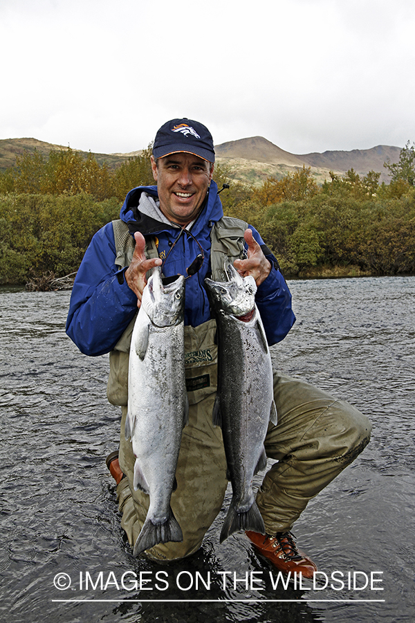 Flyfisherman with Silver Salmon, in Alaska.