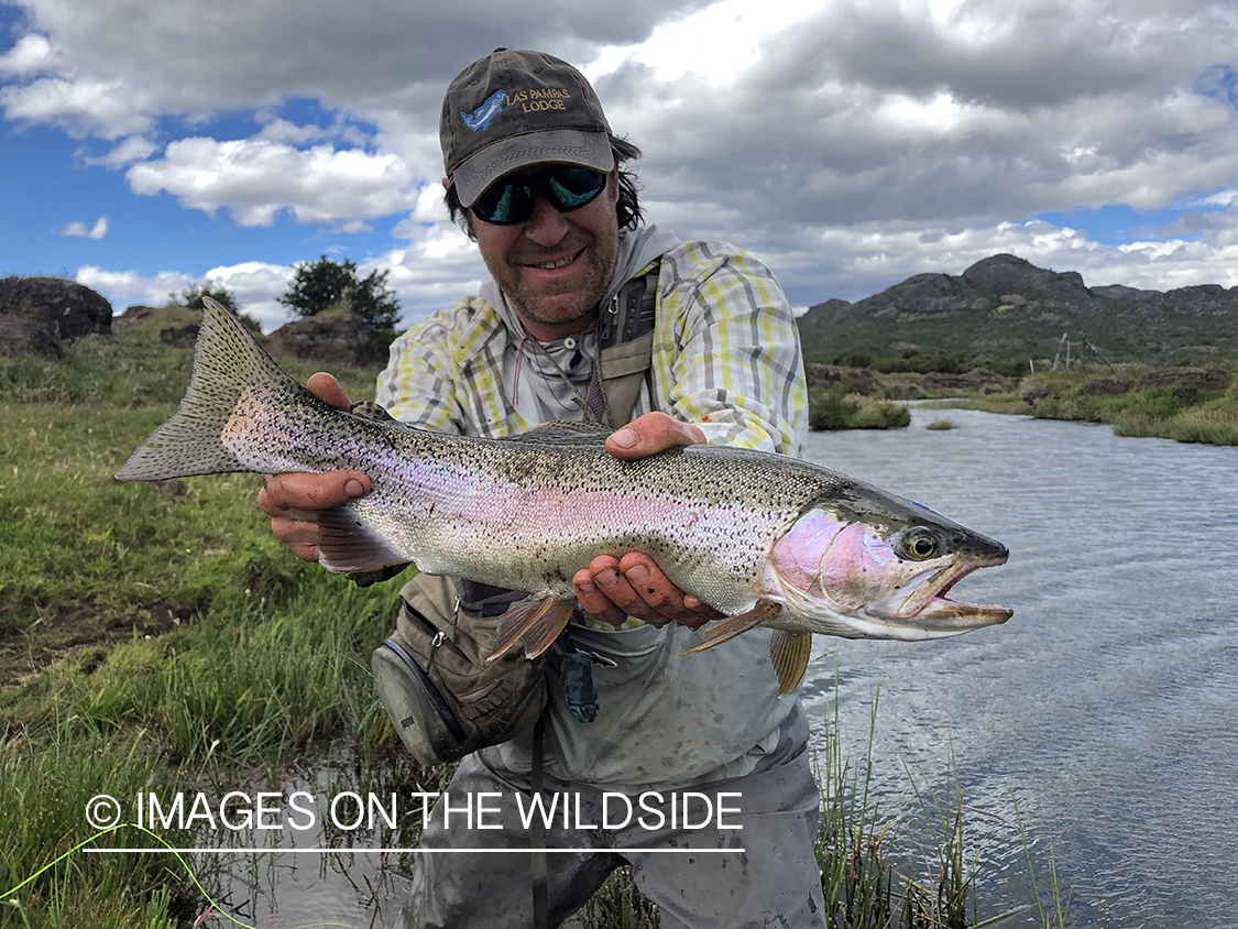 Flyfisherman releasing rainbow trout.