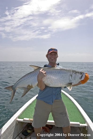 Flyfisherman w/tarpon 