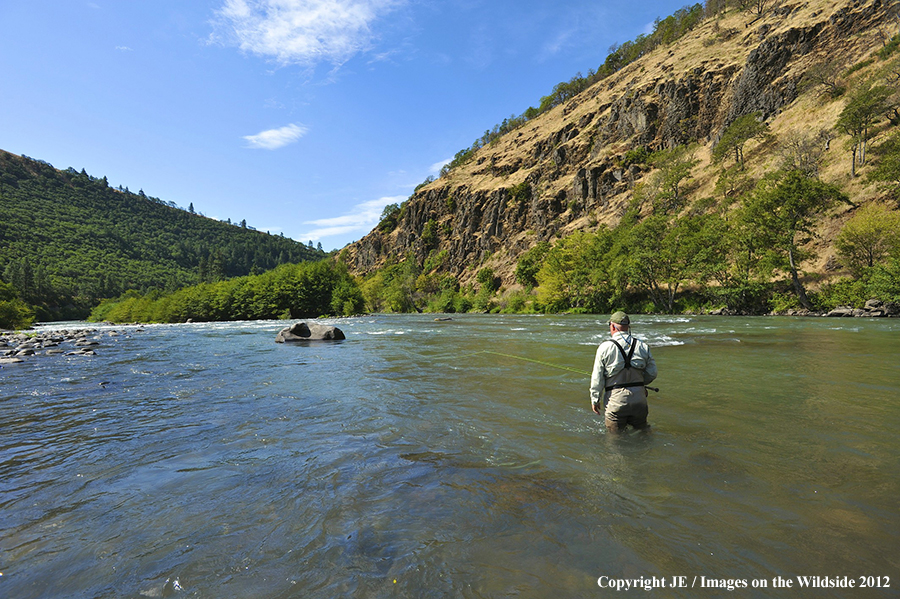 Flyfisher on river.