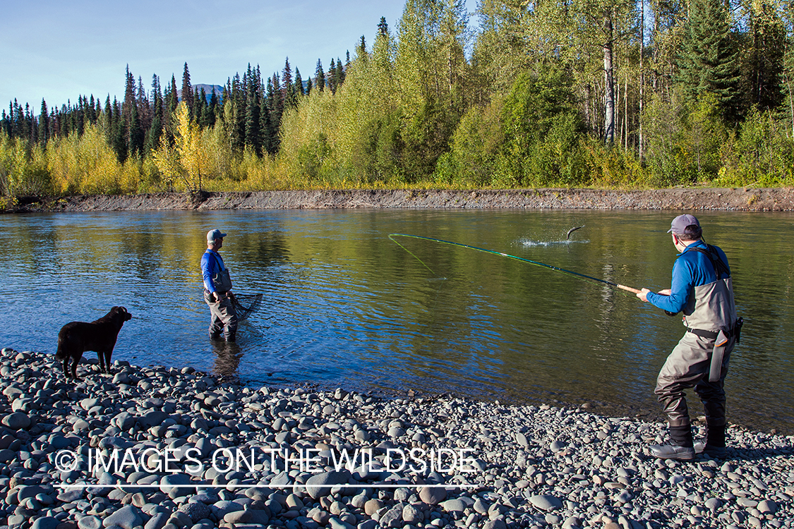 Flyfishing for steelhead on Nass River, British Columbia.