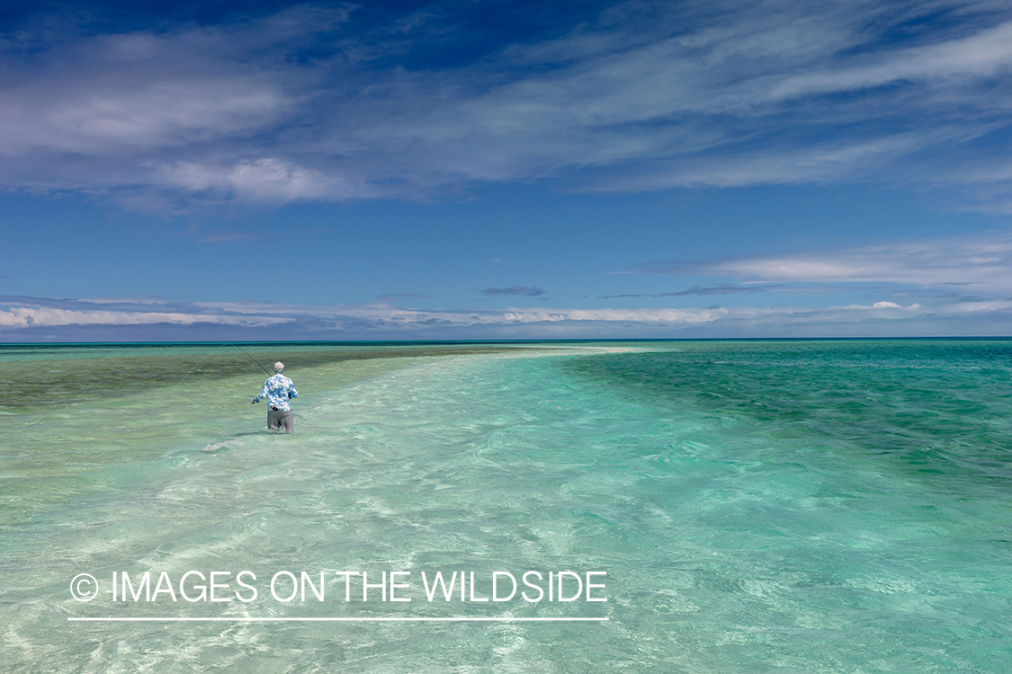 Flyfisherman on St. Brandon's Atoll flats, Indian Ocean.