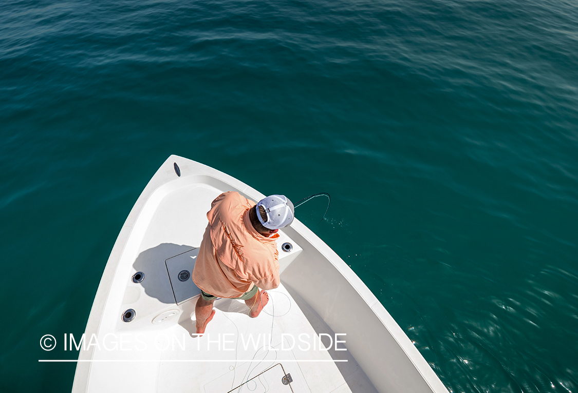 Flyfishing for queenfish off the coast of Dubai, UAE.