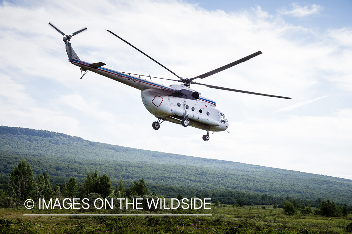 Russian helicopter flying over Kamchatka Peninsula, Russia.