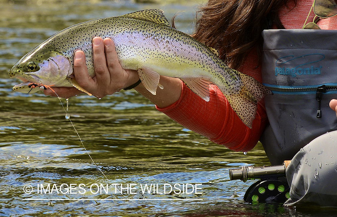 Flyfishing woman holding rainbow.