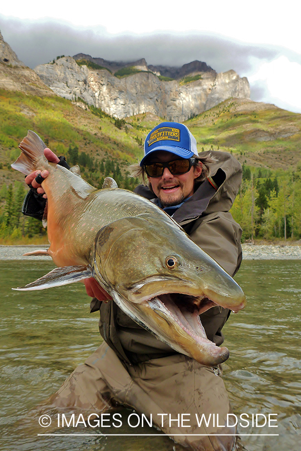 Flyfisherman with bull trout.