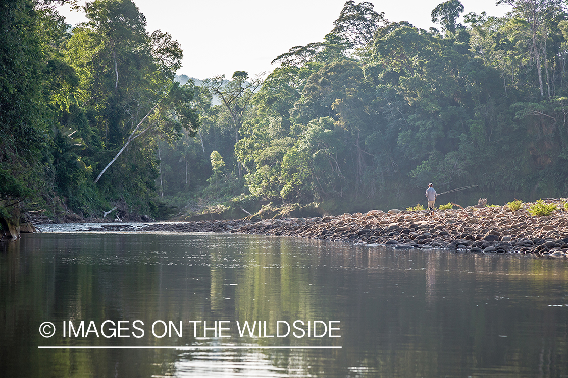 Flyfishing for Golden Dorado in Bolivia.