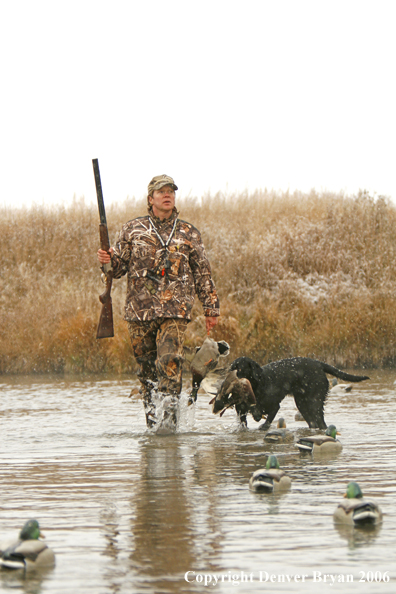 Duck hunting in winter