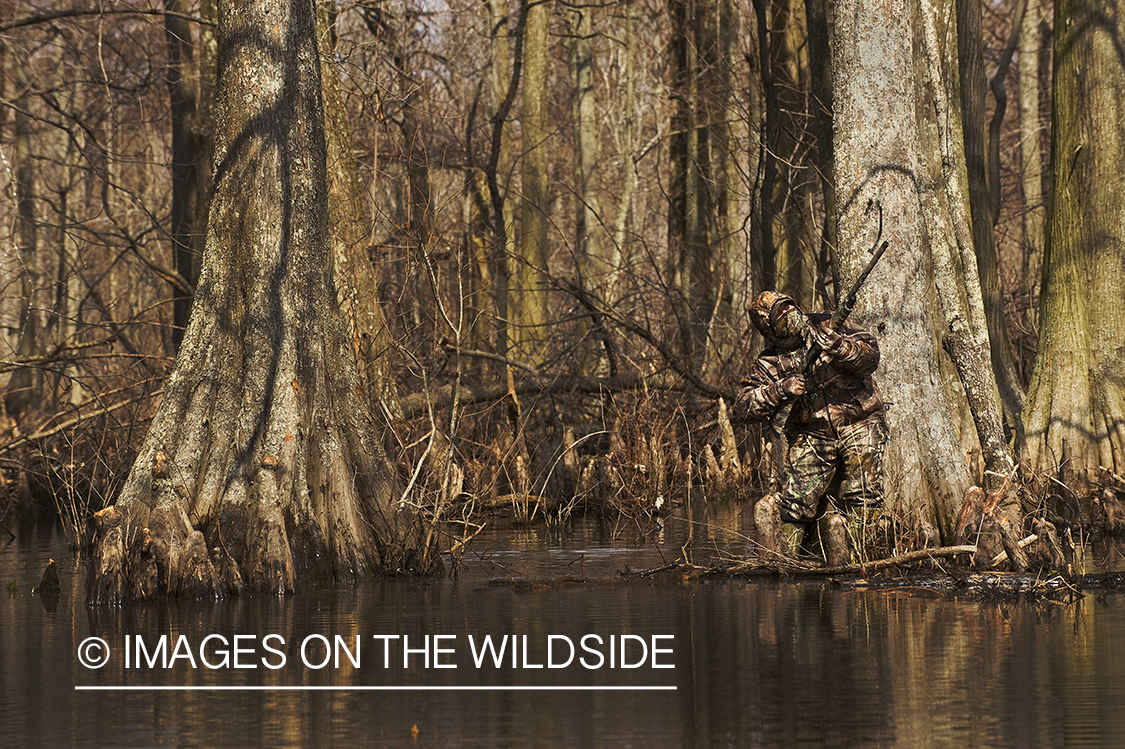 Waterfowl hunter camouflaged in wetlands.