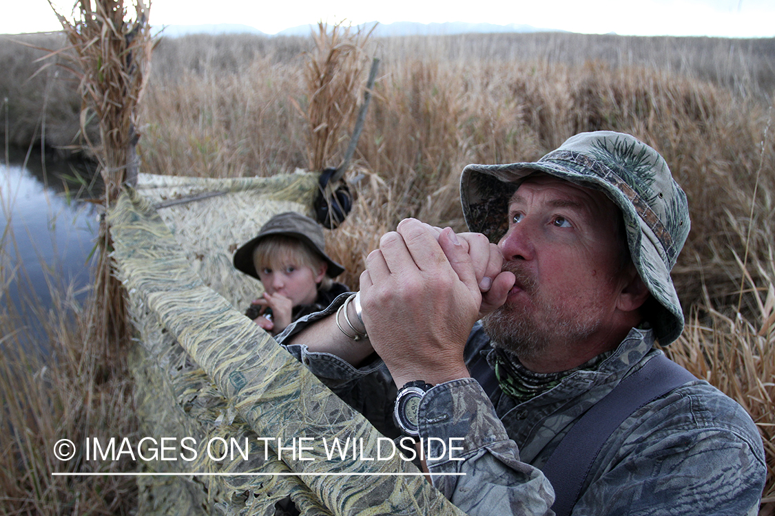 Father and son waterfowl hunters calling waterfowl. 