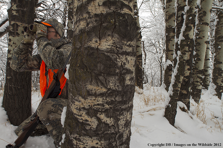 Hunter in field.