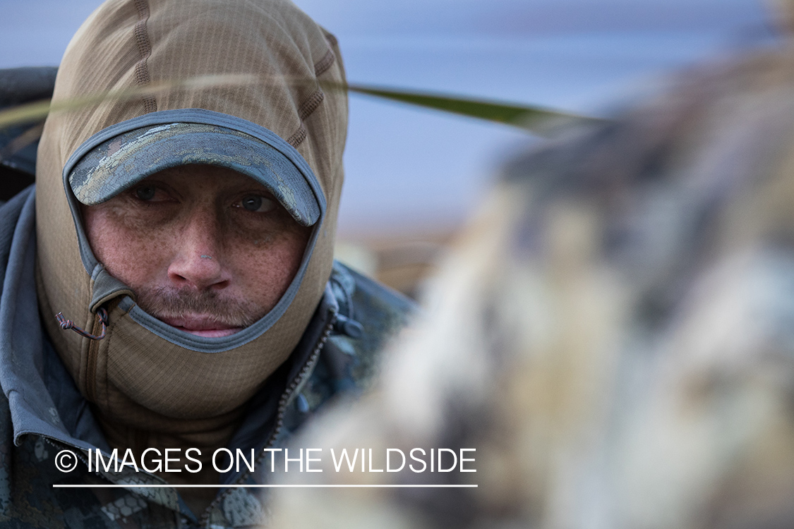 Hunting Tundra Swans and Ducks in Bear River region in Utah.