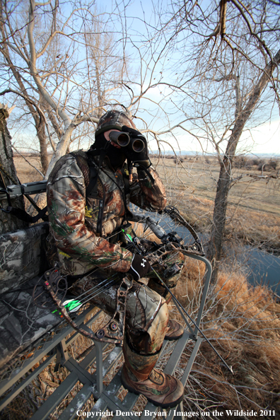 Bowhunter scouting from tree stand. 